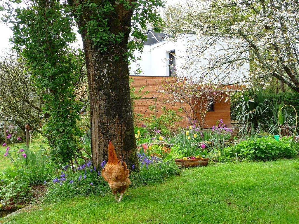 Le Jardin Aux Oiseaux Bed and Breakfast Férel Δωμάτιο φωτογραφία