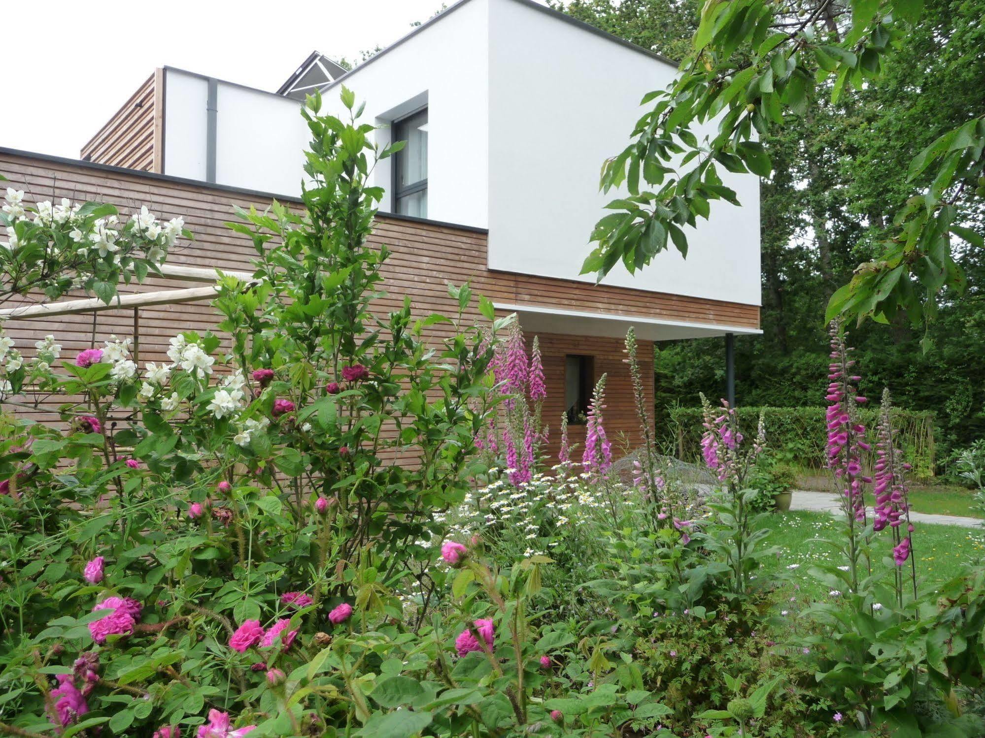 Le Jardin Aux Oiseaux Bed and Breakfast Férel Εξωτερικό φωτογραφία